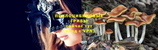 каннабис Волоколамск