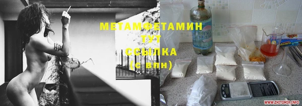 PSILOCYBIN Волосово