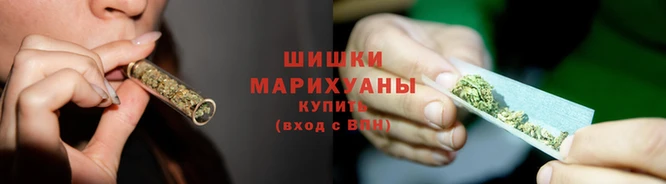 мяу мяу мука Горно-Алтайск