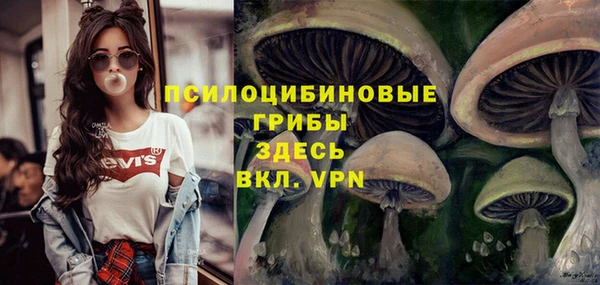 МДМА Вяземский