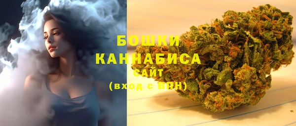 PSILOCYBIN Волосово