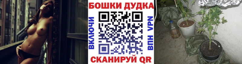 Конопля гибрид  Дмитров 